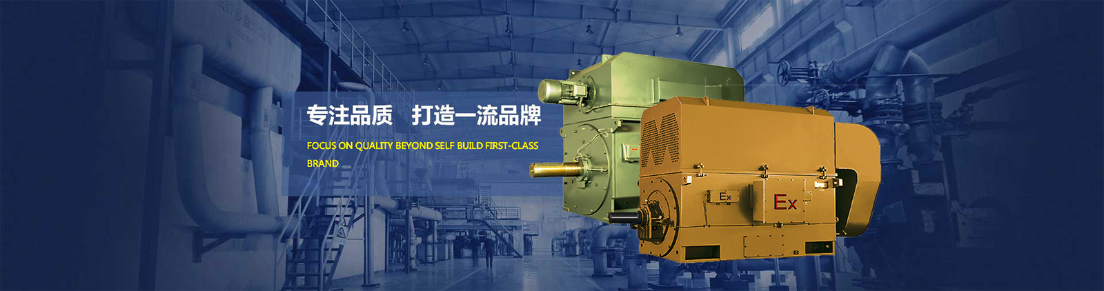 quality High Voltage AC Motor factory
