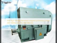 IP44 High-Voltage Permanent Magnet Synchronous Motor 400-15000kw 3kv-11kv 100-300r/min