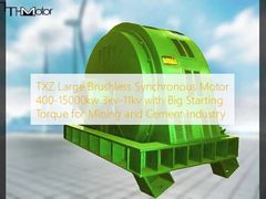 TXZ Large Brushless Synchronous Motor 400-15000kw 3kv-11kv with Big Starting Torque for Mining and Cement Industry