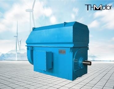 IP23 Energy Saving Low Noise 100rpm to 3000rpm High Voltage Electric Motors 50Hz 10KV