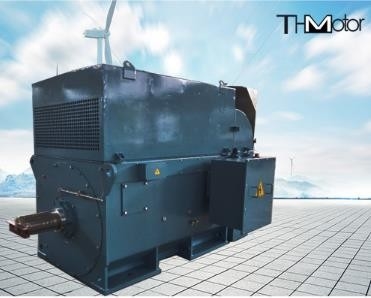 Y800 6000kw Large Squirrel Cage High Voltage  Electric Motors 1500r/ Min IP54