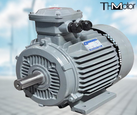 GB30254 High Voltage Flameproof Electric Motor Pump IP65 165kW