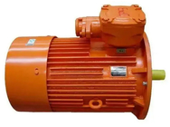 380-440V IMB3 Flameproof Electric Motor -15℃ To 40℃ Ambient Temperature 200 KW