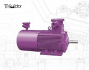 IC411 Electric Flameproof Motor IP55 Protection Class ≤70dB Noise Level