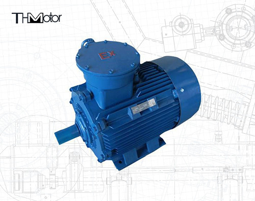 VVVF Speed Regulation Explosion Proof Motor IP55 Protection Class 380-440 V