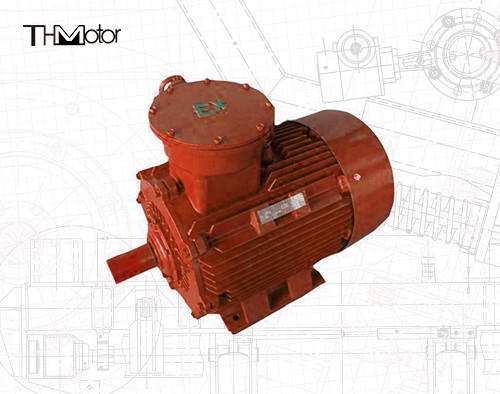VVVF Speed Regulation Explosion Proof Motor IP55 Protection Class 380-440 V