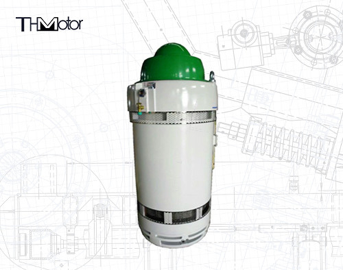 IP65 IE2 Particular Application Motors WPII Enclosure Superior Protection