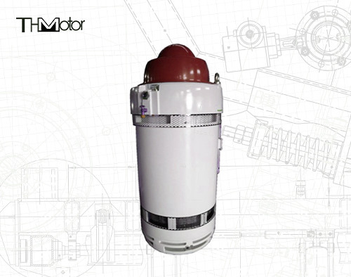 IP65 IE2 Particular Application Motors WPII Enclosure Superior Protection