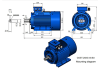 IC0141 Squirrel Cage Motor With 75mm Shaft Diameter For Continuous S1 Operation