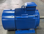 IC0141 Squirrel Cage Motor With 75mm Shaft Diameter For Continuous S1 Operation