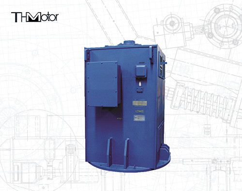 3600rpm Three Phase Circulating Pump Power Plant Motor IC01 IC411 IC611