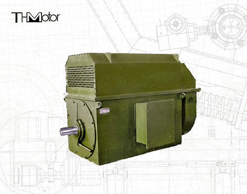 YKS450-2 Three Phase Asynchronous Motor High Voltage Electric Induction Motors 2970rpm