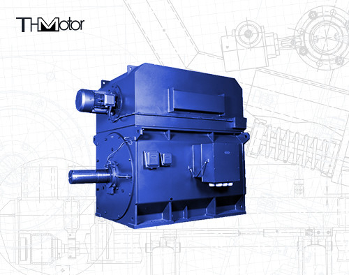 IP55 94.5% Adjusting Speed Three Phase Asynchronous Motor IEC DNV GB