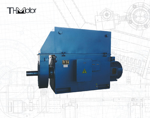 Heavy Duty Three Phase Induction Motor with IP44/IP54/IP55 Protection Class