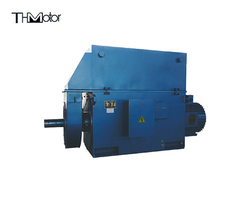 Heavy Duty Three Phase Induction Motor with IP44/IP54/IP55 Protection Class