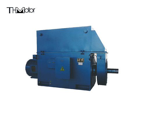 Heavy Duty Three Phase Induction Motor with IP44/IP54/IP55 Protection Class