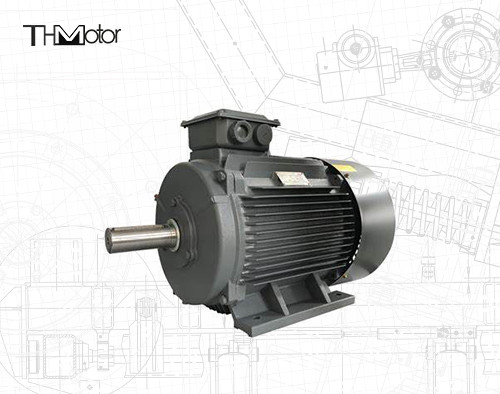 GB30254 High Voltage Flameproof Electric Motor Pump IP65 165kW
