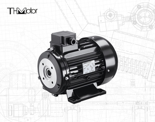 2500kw 6-Pole Voltage DC Motor with Hollow Shaft IP55 Protection Speed Range 1000-3000rpm