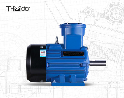 165kW Flameproof Water Pump Asynchronous Motor GB30254