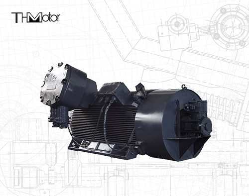 YBBP High Voltage Flameproof Electric Motor H560 Variable Frequency VFD
