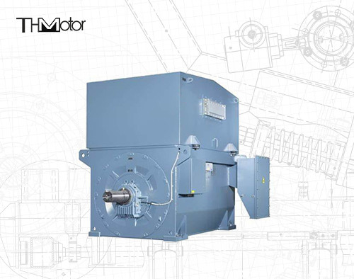 10000V 6000V 3000V Flameproof Electric Motor High Voltage IMB3