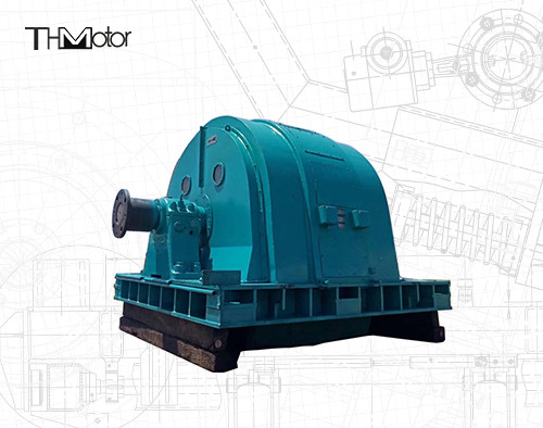 TAW Mining Mill Large Brushless Synchronous Motor IP44 IP54 IP55