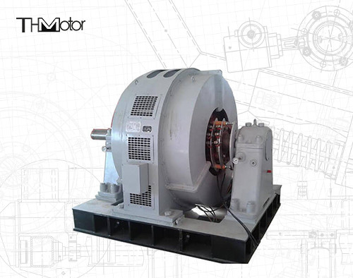 TDG Large Scale Synchronous Motor 6kv For Blast Blower Steel Plant