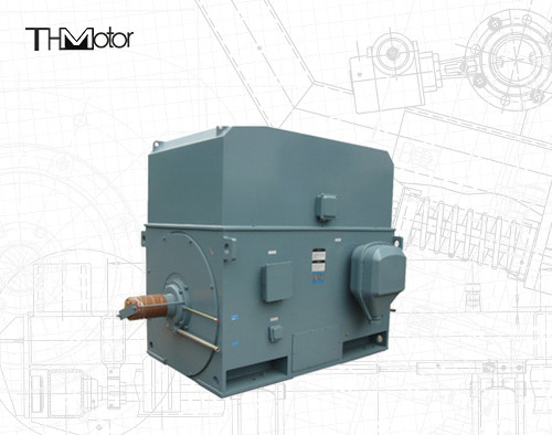 Industrial Squirrel Cage Electric Motor 3000RPM 1250KW 142A IP55 Continuous S1