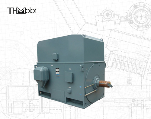 Industrial Squirrel Cage Electric Motor 3000RPM 1250KW 142A IP55 Continuous S1