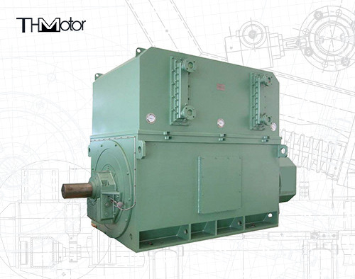 Industrial High Voltage Motors 6000v-11000v 2 Poles for Optimal and Performance