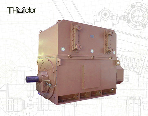 Industrial High Voltage Motors 6000v-11000v 2 Poles for Optimal and Performance
