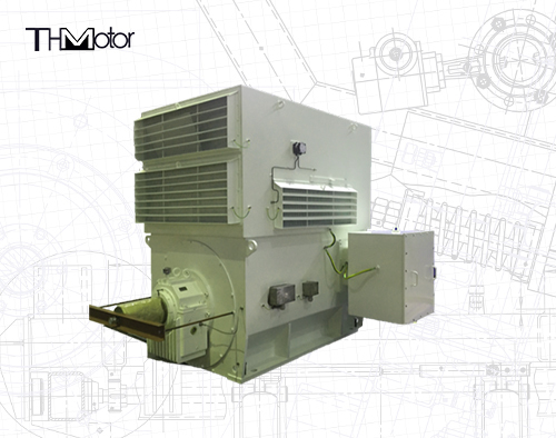 WPI WPII Series Three-Phase Induction Motors for Industrial Use