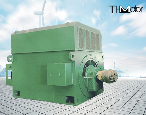 Power Plant High Efficiency Electric Motors 900kw 2500kw