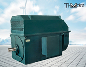941 Rpm 400kw to 6000kw 3 Phase Induction High Voltage Electric Motors 6kv