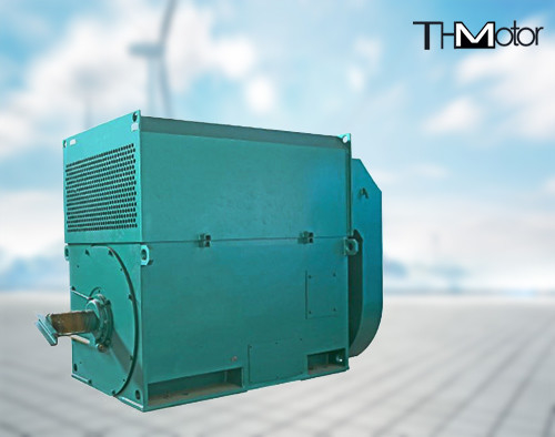 11000v Variable Speed Three Phase Asynchronous Motor IP55
