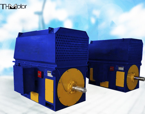 Large Scale 300r/Min TMW Brushless Synchronous Motor 10 KV IEC GB