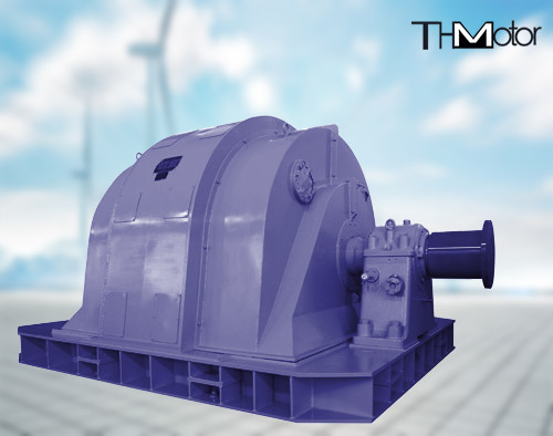 TDG Large Scale Synchronous Motor 6kv For Blast Blower Steel Plant