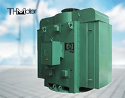 TL Vertical AC Synchronous Motor