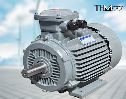 165kW Flameproof Water Pump Asynchronous Motor GB30254