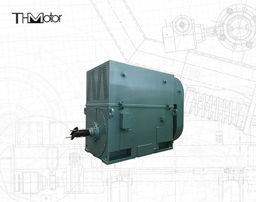 Y630-12 3 Phase Asynchronous Squirrel Cage Induction Motor 710kw 496rpm