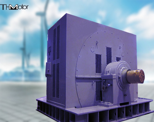 IP20 IP21 Driving Coal Mill Large Synchronous Motor 1300KW
