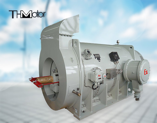 20P 3 Phase Squirrel Cage Flameproof Electric Motor 5600KW