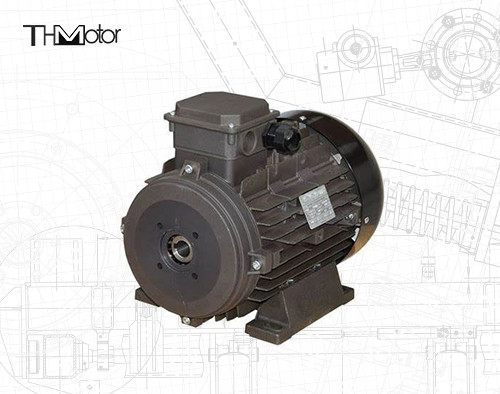 Power Hollow Shaft/Solid Shaft IP54/IP55 Voltage DC Motor for Industrial Applications