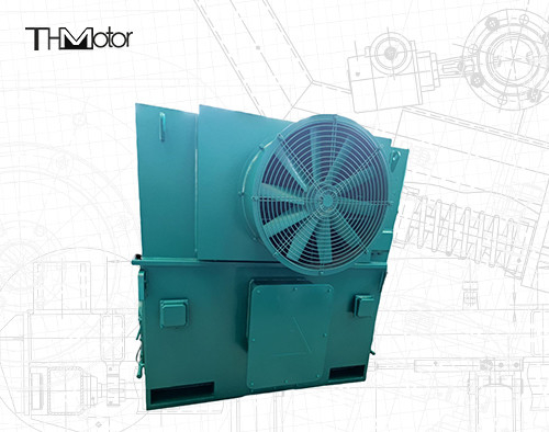 IP55 Voltage 4-Pole Induction Electric Motors With IC611 Cooling Method