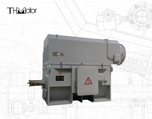 Industrial Continuous S1 Operation Squirrel Cage Motor IP55 0.89 Power Factor 450Mm Shaft Height