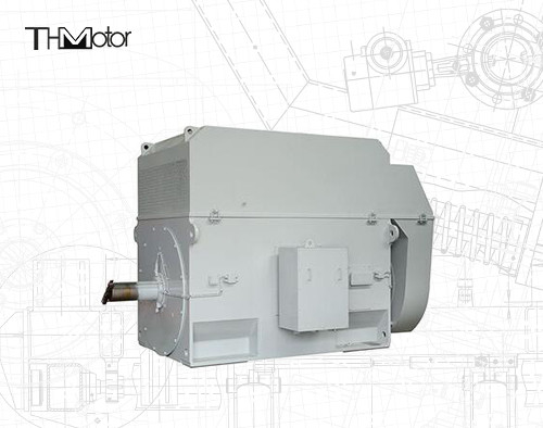 50Hz Squirrel Cage Motor with 100mm Shaft for Continuous 3000RPM Operation
